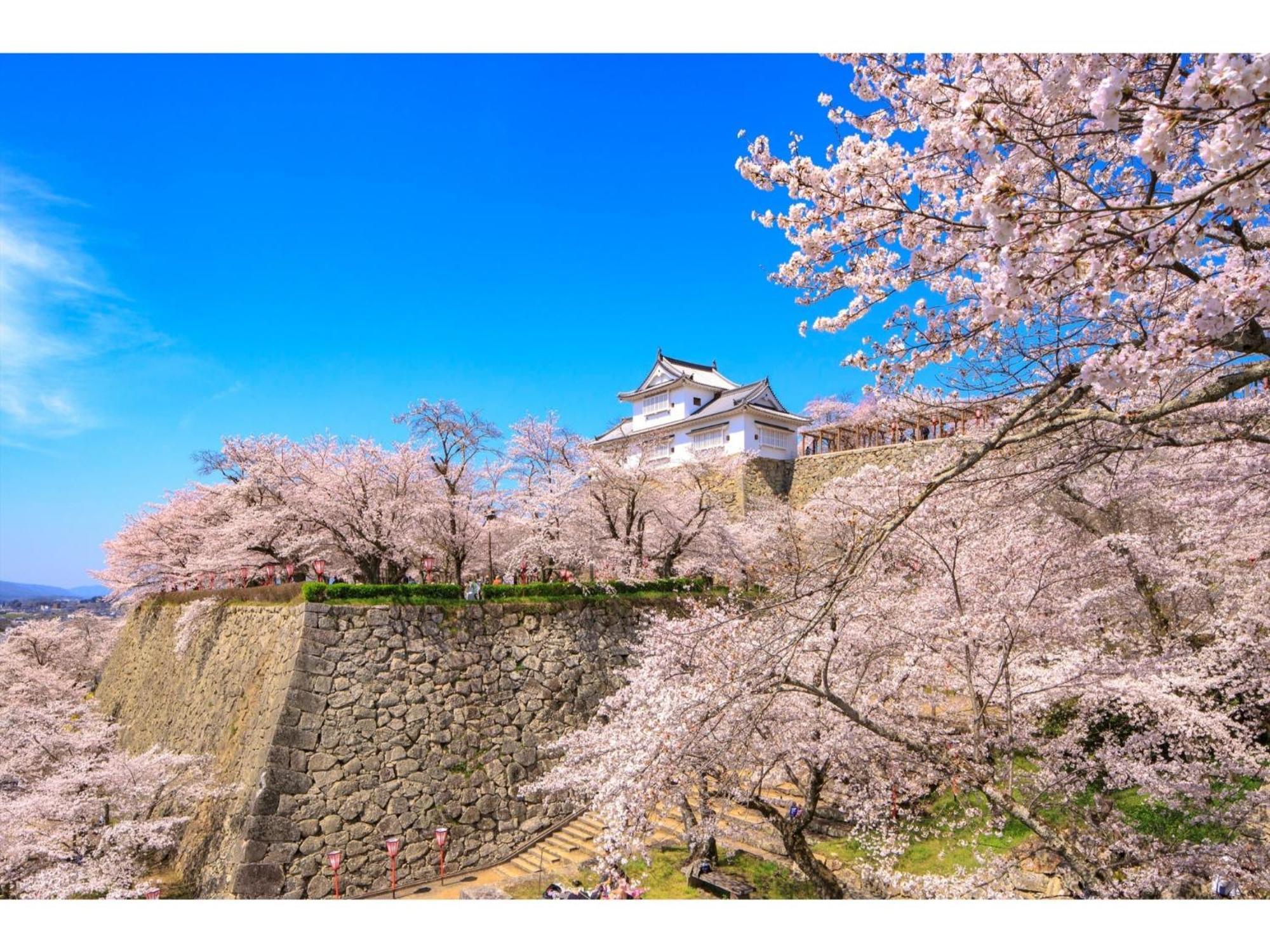 Tsuyama Kakuzan Hotel - Vacation Stay 75701V Eksteriør billede